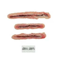 3 Plaies En Latex Avec Adhésif