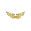 Ailes D'ange En Plastique Rigide Or