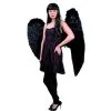 Ailes D'ange Noir