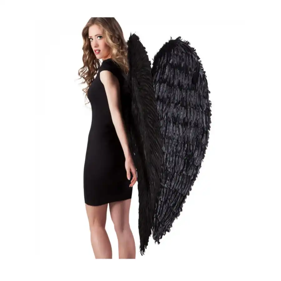 Ailes D'ange Noir – Image 2