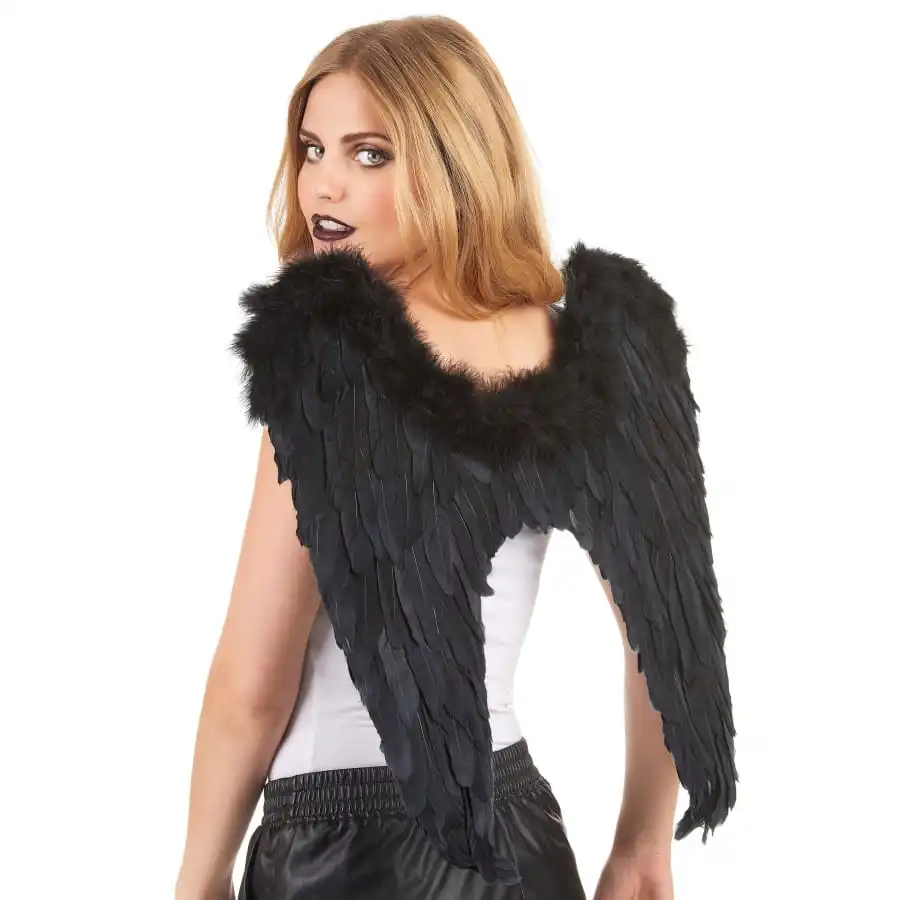 Ailes Noires De 50cm Pour Adulte