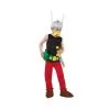 Costume De Astérix Pour Enfant