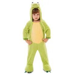 Costume De Grenouille Verte Pour Enfant