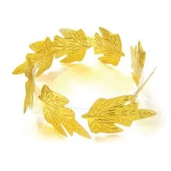 Couronne Dorée De Laurier