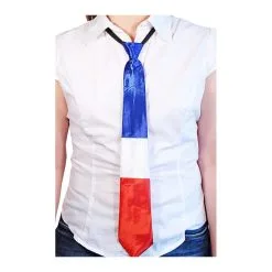 Cravate Drapeaux De La France