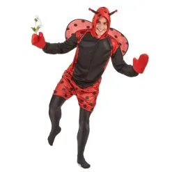 Déguisement De Coccinelle Pour Homme