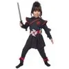 Déguisement De Guerrière Ninja Pour Fille