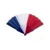 Eventail France Pour Supporter
