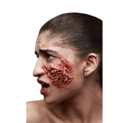 Fausse Blessure Purulente Avec Vers En Latex
