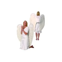 Grandes Ailes D'ange En Plumes