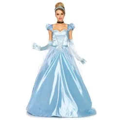 Large Et Longue Robe Bleue De Princesse Adulte
