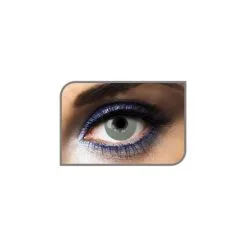 Lentilles Oeil Vitreux