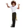 Maquillage De Lion Queue Et Oreilles Pour Enfant