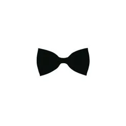 Noeud Papillon Luxe De Couleur Noir Avec élastique