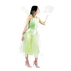 Paire D'ailes Vertes De Fée