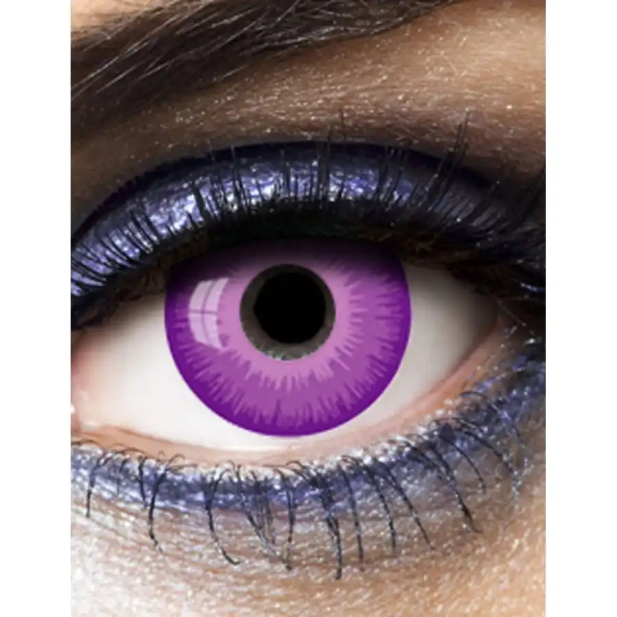 Paire De Lentilles Violettes Unies – Image 2