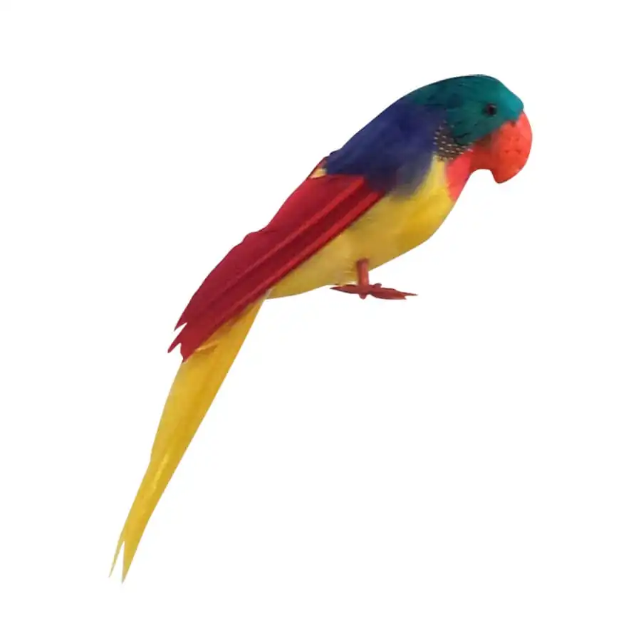 Perroquet Coloré Décoratif