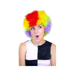 Perruque De Clown Afro Multiclore Pour Adulte