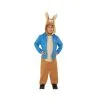 Tenue De Pierre Lapin Pour Enfant