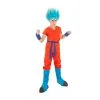 Tenue De Son Goku Guerrier Divin Pour Enfant