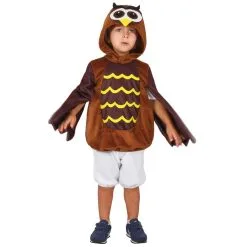 Tunique De Petit Hibou Marron Avec Capuche